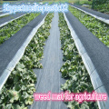 Factory Supply Weed Control Mat / Ground Cover Mesh Fabric / Agricultural Black Plastic Ground Cover